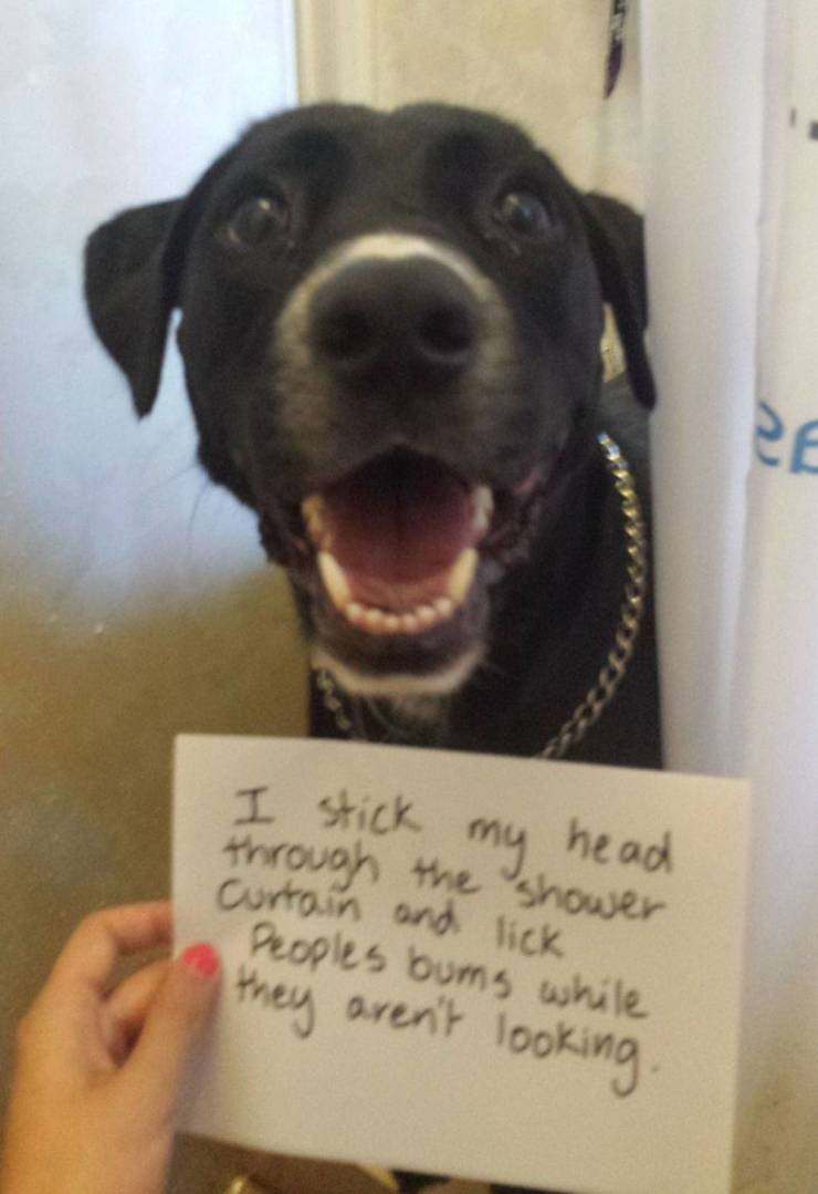 Daily Picdump
