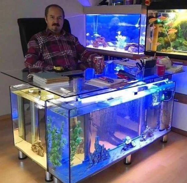 Content Image