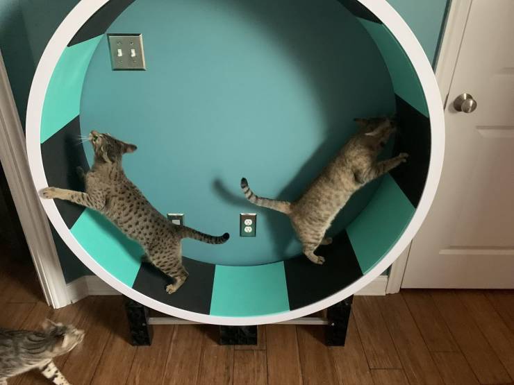 Daily Picdump