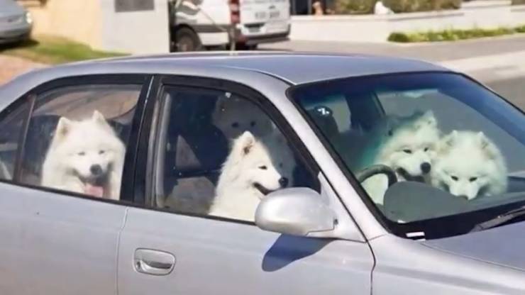 Daily Picdump