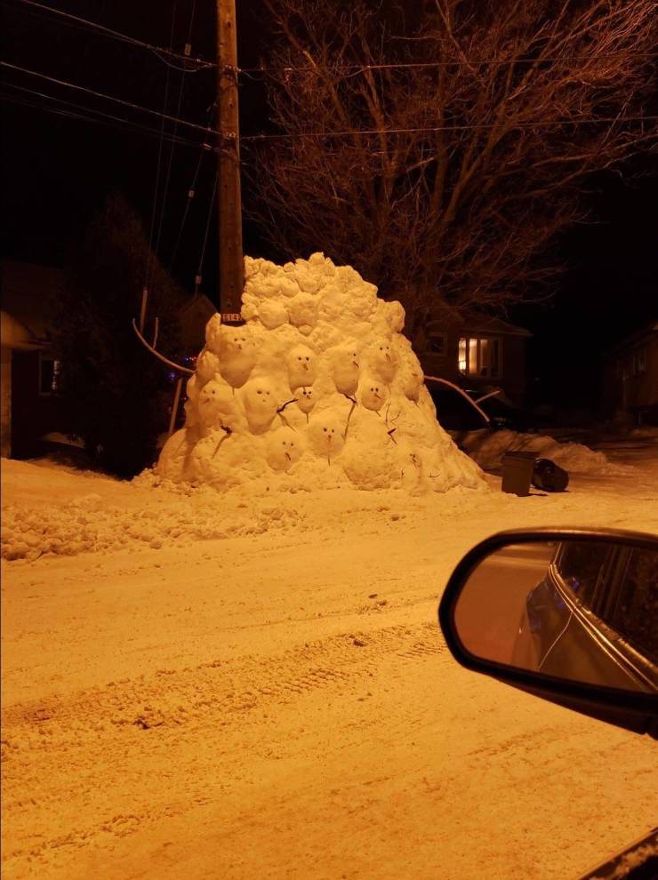 Daily Picdump