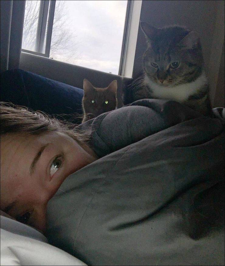 Content Image