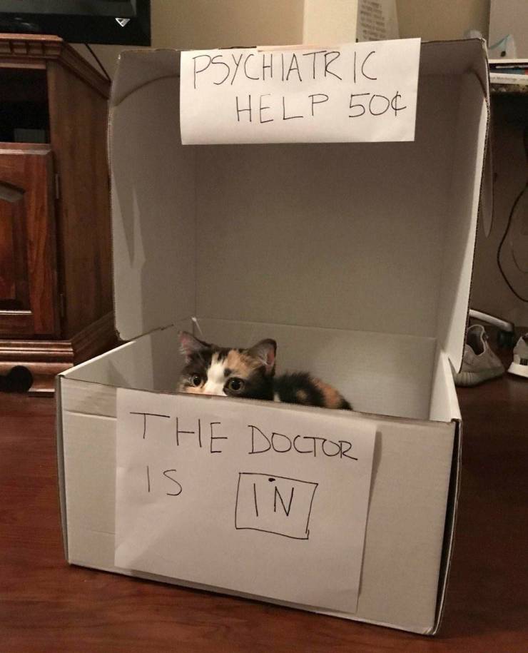 Content Image