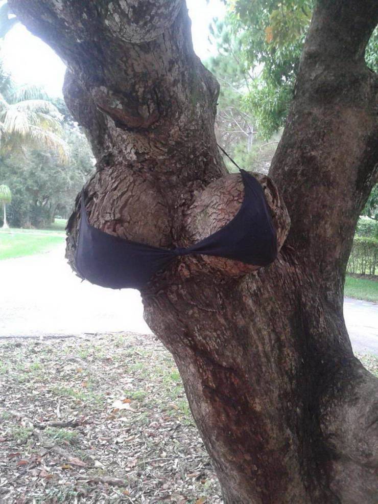 Dirty Mind, Come Here!