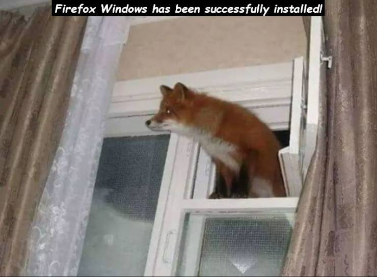 Funny Picdump