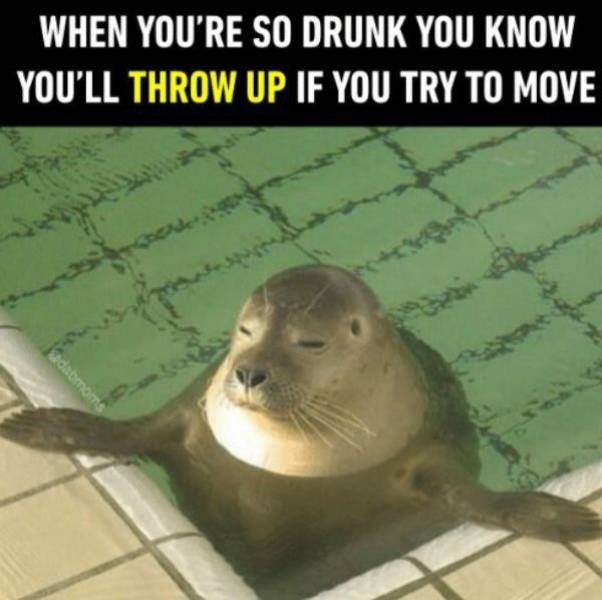 Funny Picdump