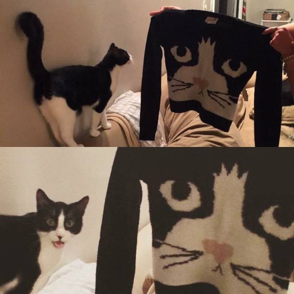 Daily Picdump