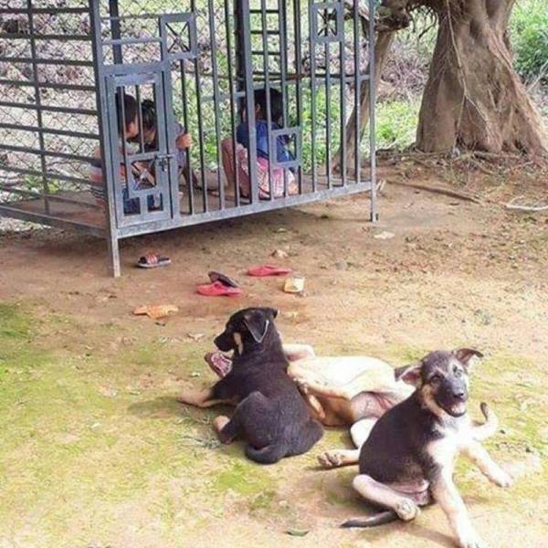 Daily Picdump