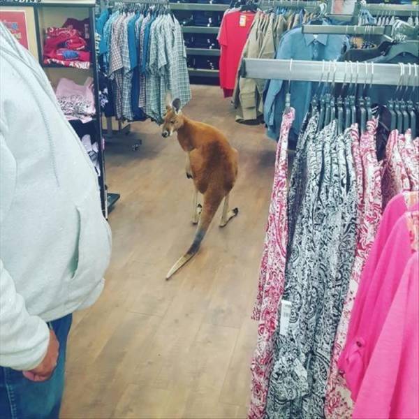 Daily Picdump