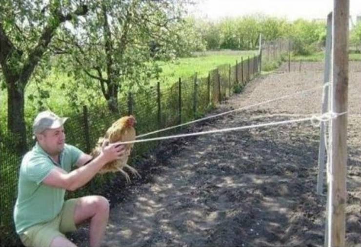 Daily Picdump