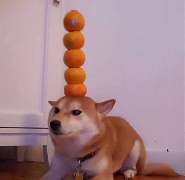 Content Image