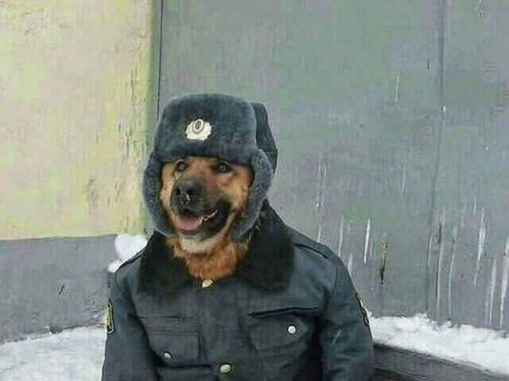 Content Image