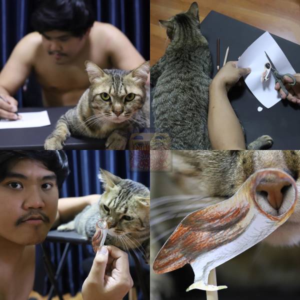 Content Image