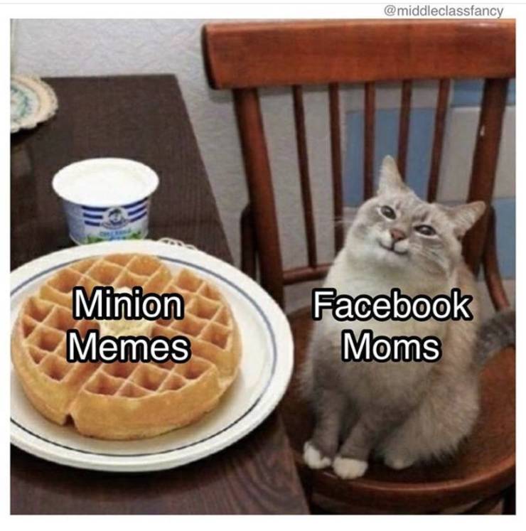 Content Image