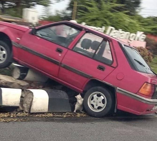 Daily Picdump