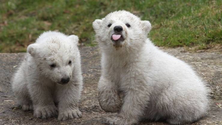 Daily Picdump