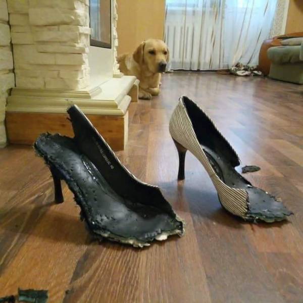 Daily Picdump