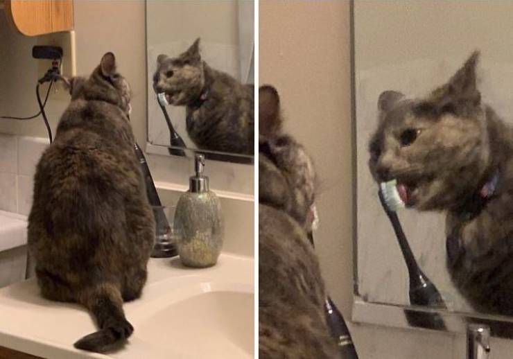 Daily Picdump
