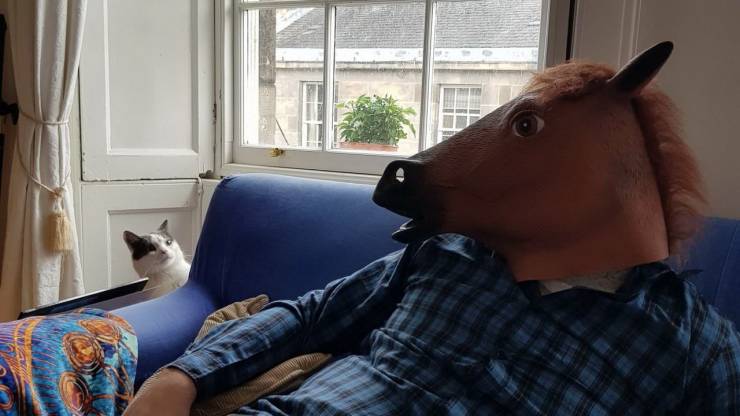 Content Image