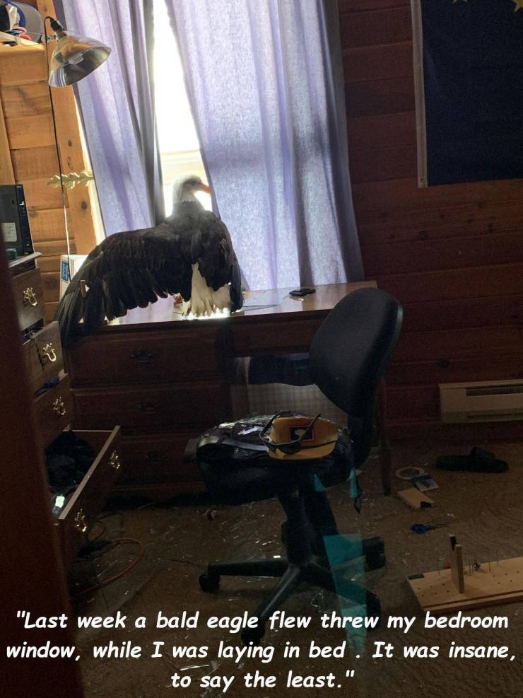 Daily Picdump