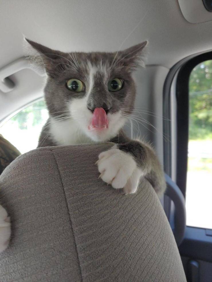 Daily Picdump