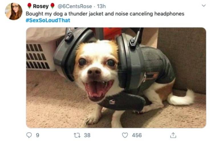 When Sex Is So Loud That…