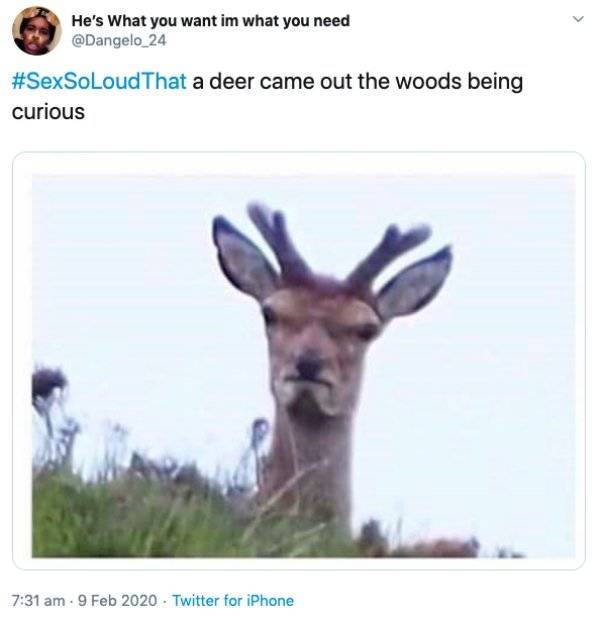 When Sex Is So Loud That…