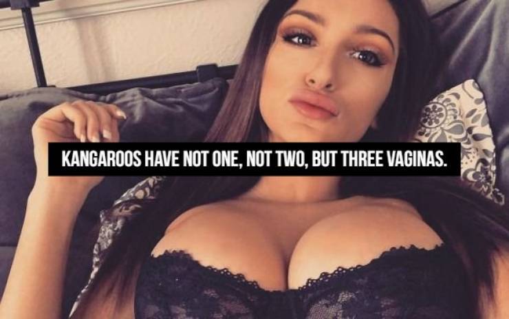NSFW Facts, Anyone?