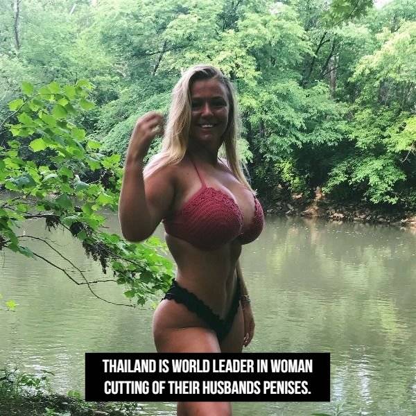 NSFW Facts, Anyone?