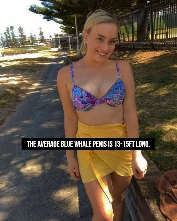NSFW Facts, Anyone?
