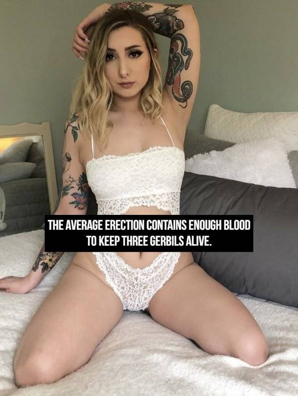 NSFW Facts, Anyone?