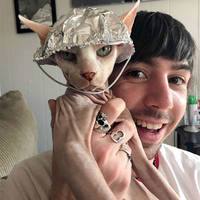 Content Image