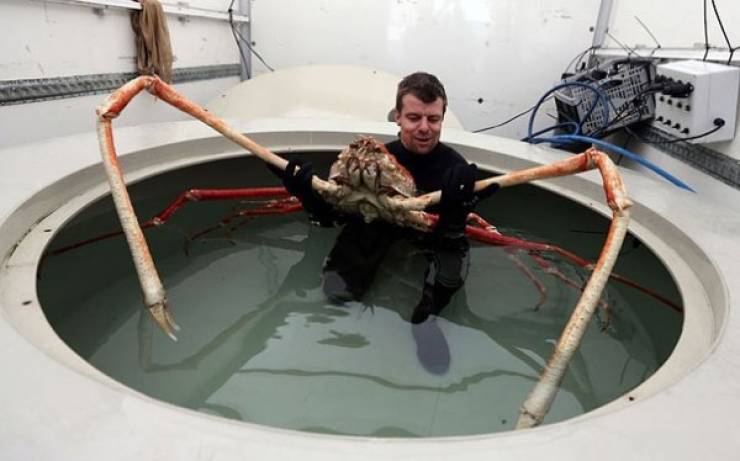 That’s A Real Big NOPE…
