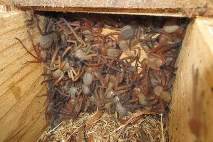 That’s A Real Big NOPE…
