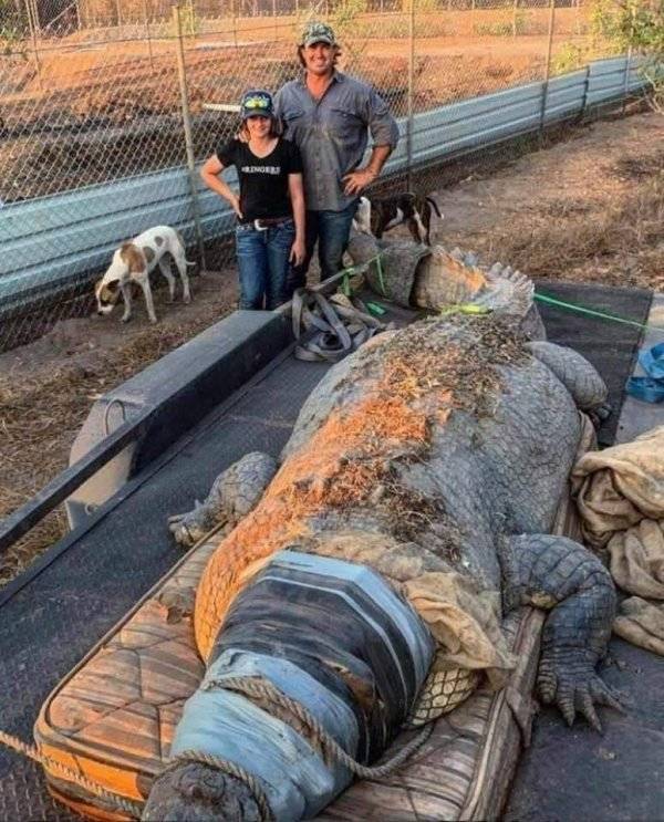 That’s A Real Big NOPE…