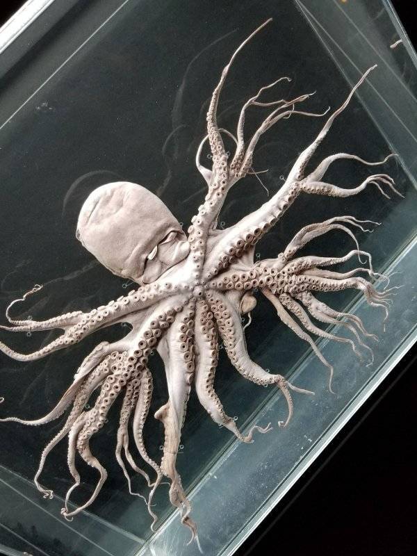 That’s A Real Big NOPE…