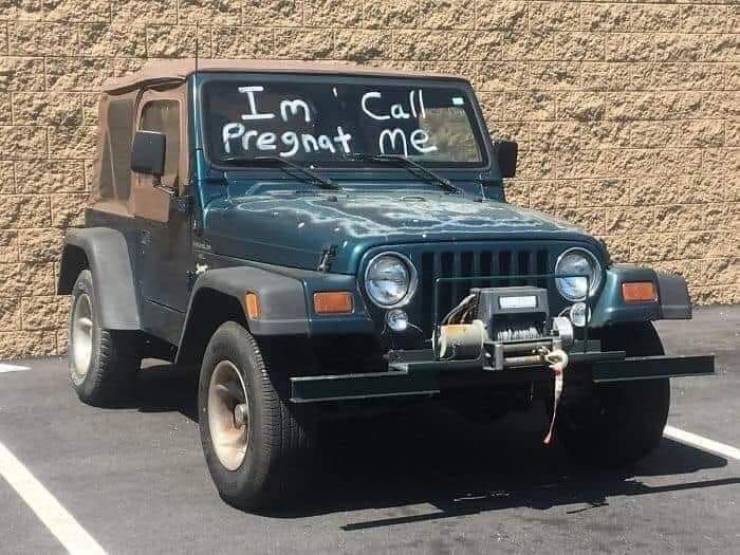 Daily Picdump