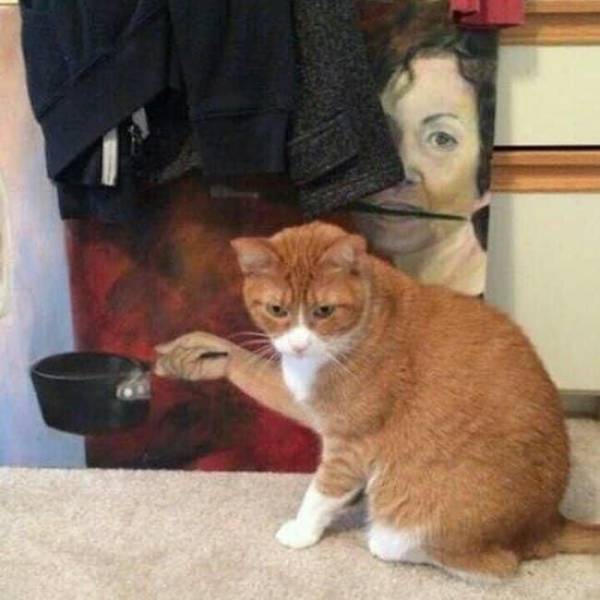 Daily Picdump