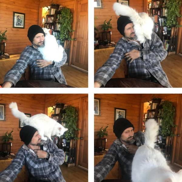 Daily Picdump