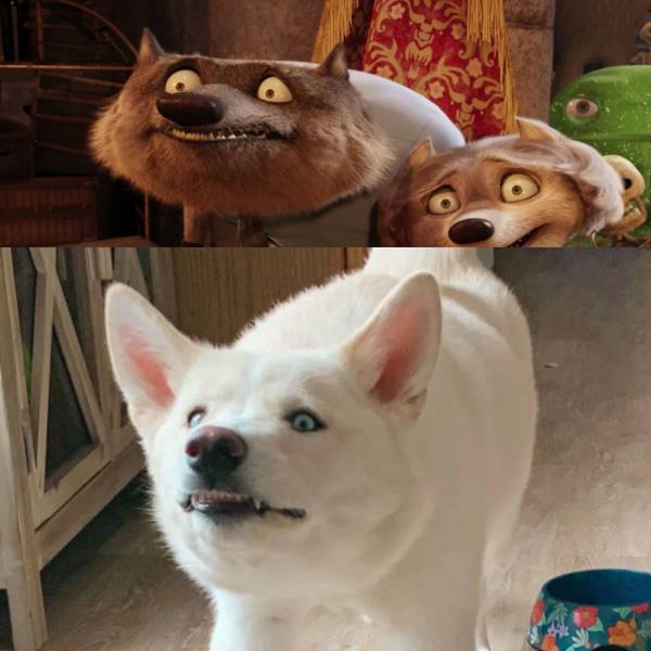 Daily Picdump