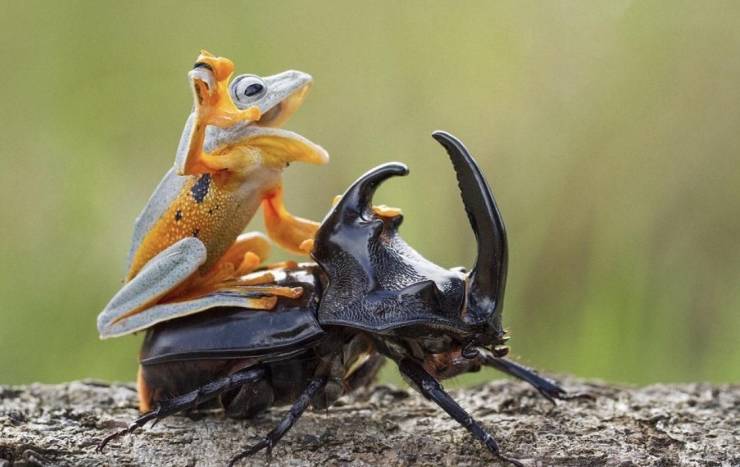 Daily Picdump