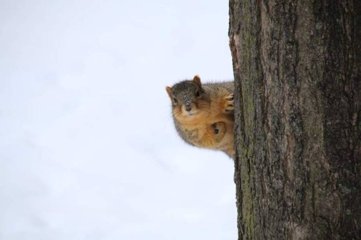 Daily Picdump