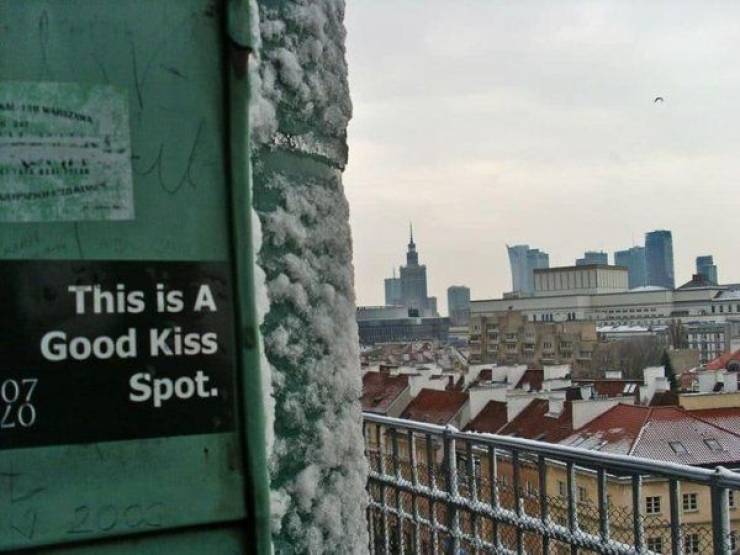 Daily Picdump