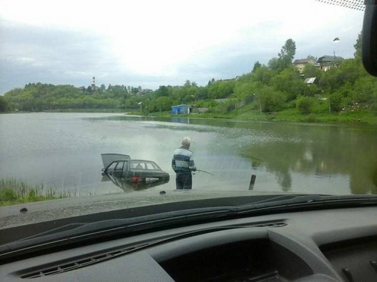 Daily Picdump