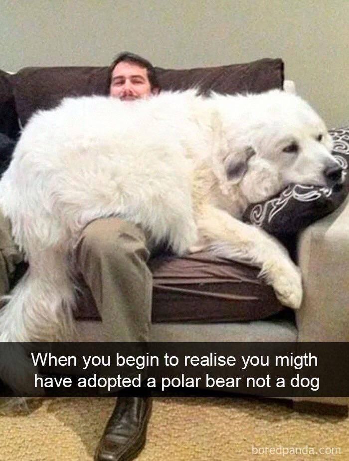 Daily Picdump