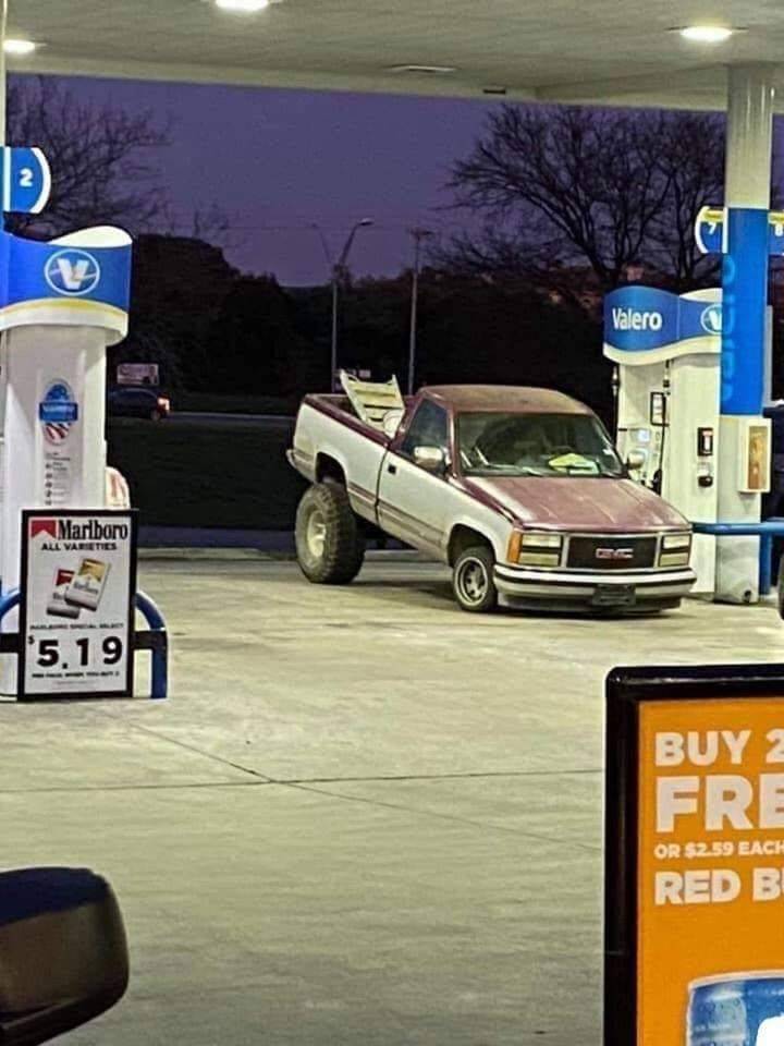 Daily Picdump