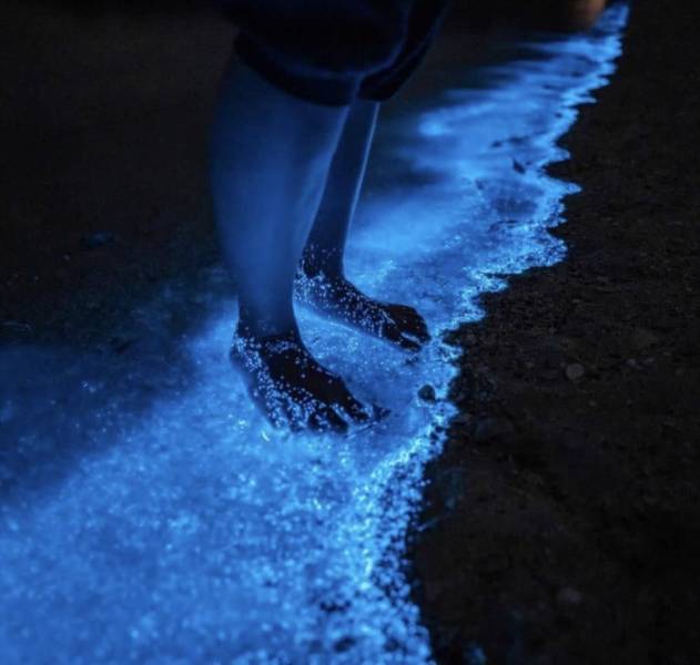 Pics That Are So Poignant And Fascinating