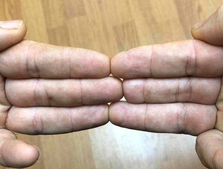 An Absolutely PERFECT Fit!