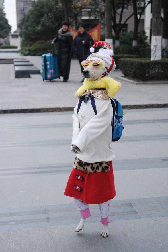Content Image