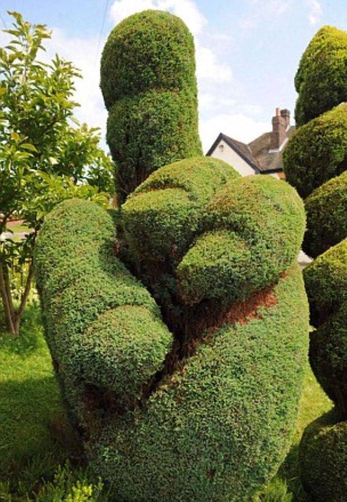 Dirty Mind, Come Here!